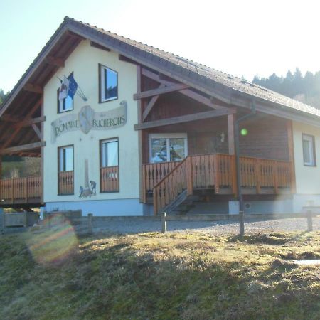 Ferienwohnung chalet du bûcheron Gérardmer Exterior foto